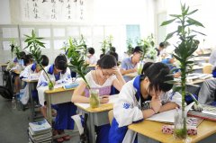 师资培训与教学能力提升